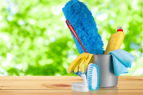 Deep cleaning team preparing safety equipment before work