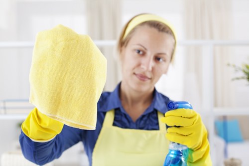 Local window cleaning for homes in Barnes