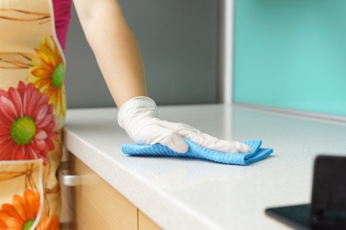 Regular house cleaning tasks in a Barnes property