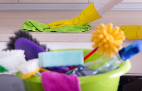 Professional oven cleaning service for homes in Barnes