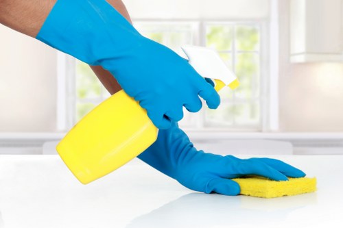 Professional oven cleaning service for Barnes homes and kitchens