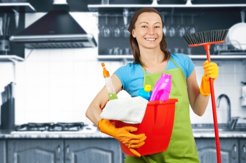Professional sofa cleaning service for Barnes homes and apartments