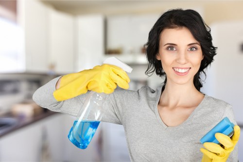 Cleaning products and tools arranged for a thorough deep cleaning appointment