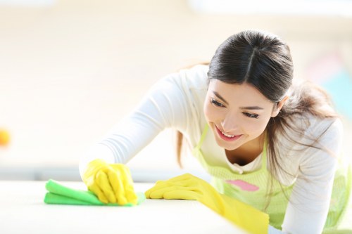 Detailed Barnes deep cleaning of kitchen and bathroom surfaces