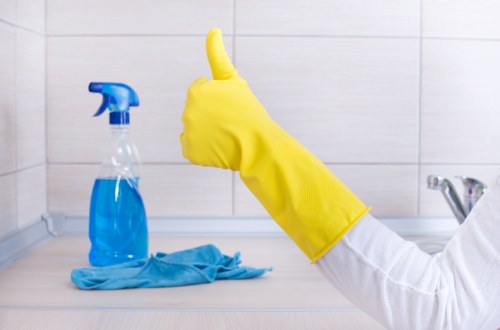 Cleaner reviewing booking details and service checklist before starting work