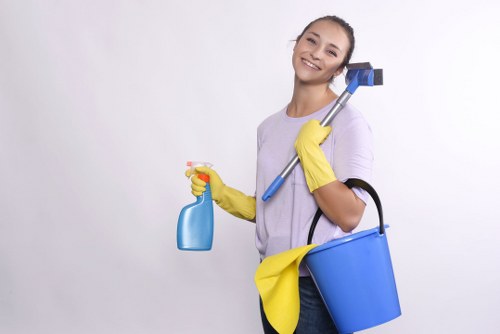 Stair carpet cleaning for a home in Barnes with careful local service