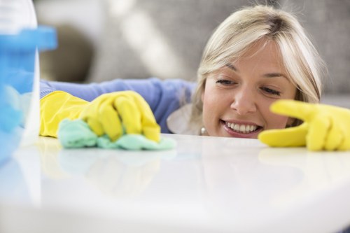 Local carpet cleaner treating stains and traffic areas in Barnes property