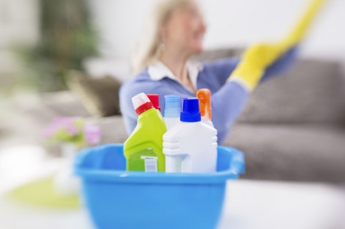 Accessible Deep Cleaning Barnes website support illustration