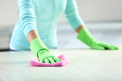 Professional cleaning checklist for homes and flats in Barnes