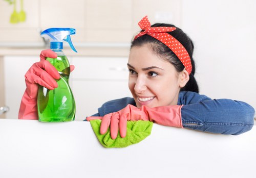 Detailed kitchen and bathroom deep cleaning in Barnes