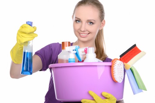Keyboard navigation and accessibility features for Barnes cleaning site
