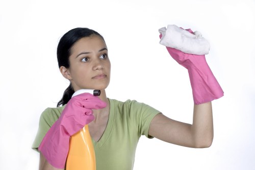 Detailed cleaning of a living room in Barnes